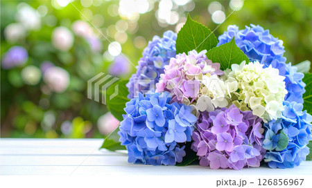 ガーデンのテーブルの上のあじさいの花束 ガーデンのテーブルの上のあじさいの花束 126856967