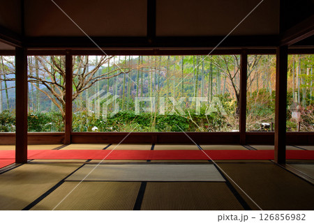 京都　大原 宝泉院 126856982