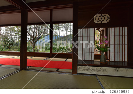 京都 大原 宝泉院 京都 大原 宝泉院 126856985