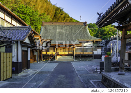 宇和島　泰平寺　本堂　愛媛県宇和島市 126857210