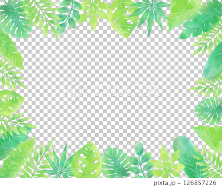 水彩熱帶樹葉全片幅（夏季、綠色、植物） 126857226