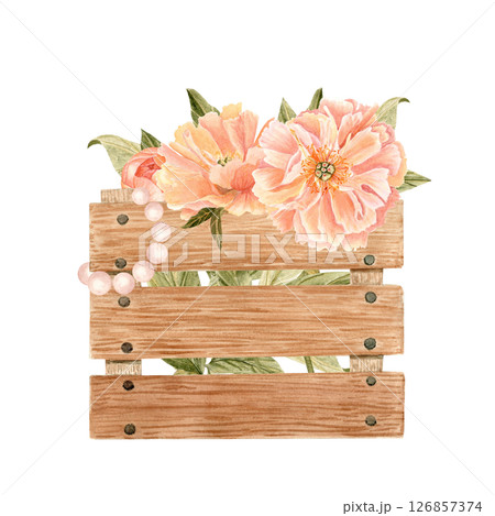 Blooming coral peonies in a wooden crate with pearl bracelet, watercolor floral composition, perfect for packaging, labels, cards, branding, invitations and farm market decor. Coral color. Shabby chic 126857374