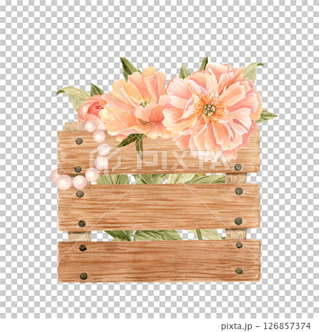 Blooming coral peonies in a wooden crate with pearl bracelet, watercolor floral composition, perfect for packaging, labels, cards, branding, invitations and farm market decor. Coral color. Shabby chic 126857374