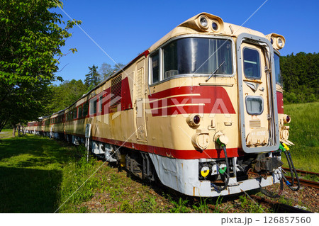 クロフォード公園のキハ82系気動車 126857560