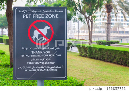 Park Sign Prohibiting Dog Walking in English and Arabic, Emphasizing Pet Regulations in Public Spaces 126857731