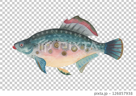 Fantasy fish watercolor illustration. Hand-painted magical creature with decorative textures and surreal patterns. Carp, trout, perch. Perfect for marine prints, souvenirs, or aquatic designs Fantasy fish watercolor illustration. Hand-painted magical creature with decorative textures and surreal patterns. Carp, trout, perch. Perfect for marine prints, souvenirs, or aquatic designs 126857938