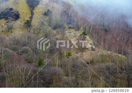 霧の立ち込めるビーナスライン【長野県】 126858019