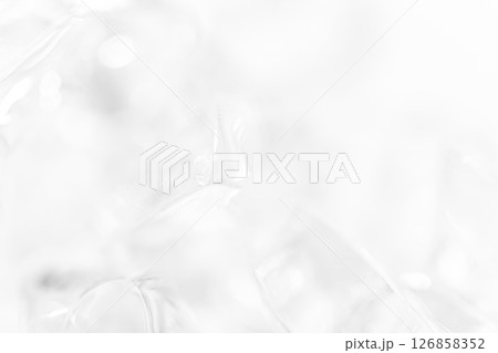 氷・冷たい 背景素材 氷・冷たい 背景素材 126858352