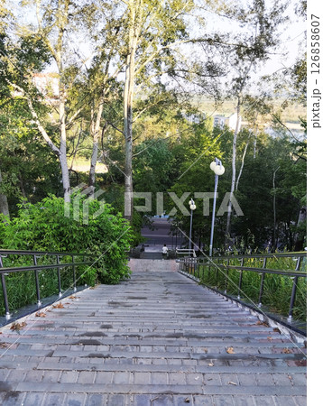 A long staircase down between bushes, trees and lanterns. Stairs in the park 126858607