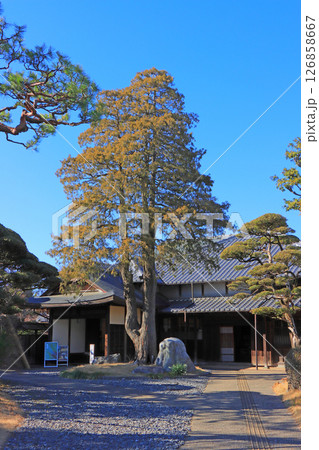 静岡県掛川市、掛川城竹の丸の風景 126858667