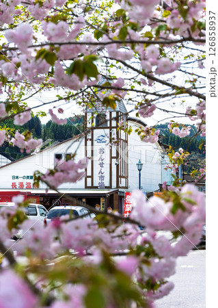 道の駅と桜クローズアップ「道の駅ながゆ温泉風景　おんせん市場」大分県竹田市 126858937