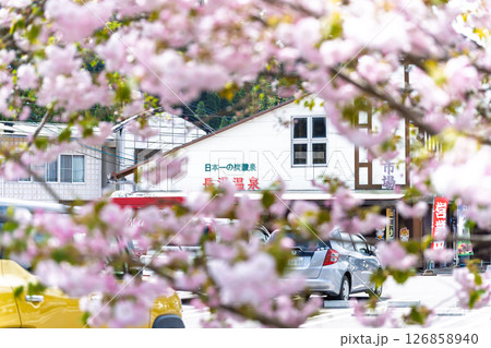 道の駅と桜クローズアップ「道の駅ながゆ温泉風景　おんせん市場」大分県竹田市 126858940