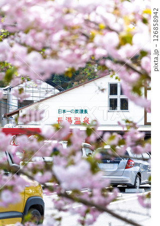 道の駅と桜クローズアップ「道の駅ながゆ温泉風景 おんせん市場」大分県竹田市 道の駅と桜クローズアップ「道の駅ながゆ温泉風景 おんせん市場」大分県竹田市 126858942