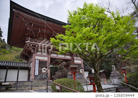 鞍馬寺 趣のある仁王門5 鞍馬寺 趣のある仁王門5 126859444