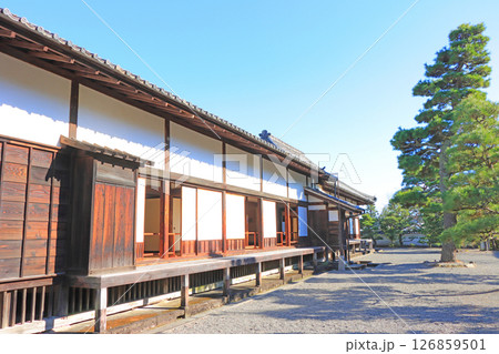 静岡県掛川市、掛川城二の丸御殿の風景 126859501