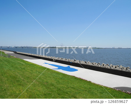 海獣のみち|若洲海浜公園 海獣のみち|若洲海浜公園 126859627