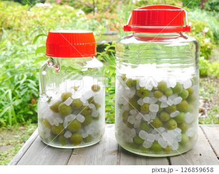 梅仕事　梅シロップ 126859658