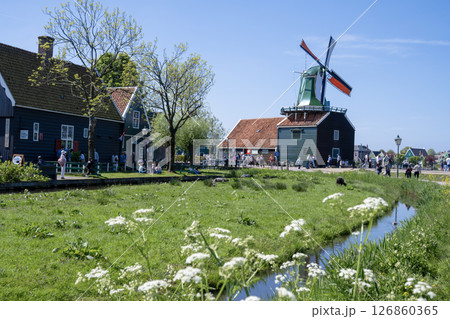 青空に映えるザーンセスカンスの風車 ／オランダ 126860365