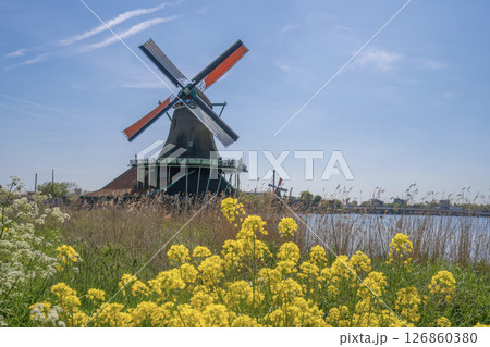 青空に映えるザーンセスカンスの風車 ／オランダ 126860380