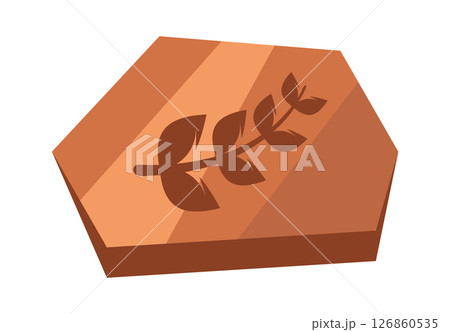 Fossil fern museum exhibit cartoon 126860535