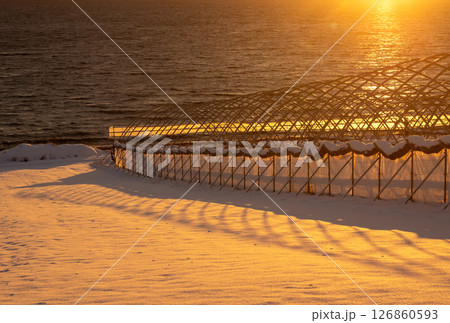 Greenhouse in the snow and sunrise, Norway 126860593