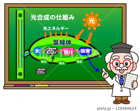 黒板で光合成の仕組みを説明する博士のイラスト素材 126860624