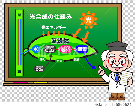 黒板で光合成の仕組みを説明する博士のイラスト素材 126860624