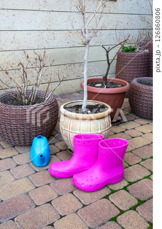 Garden Essentials. 126860806