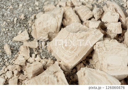 Fresh Compressed Yeast Brick for Baking 126860876