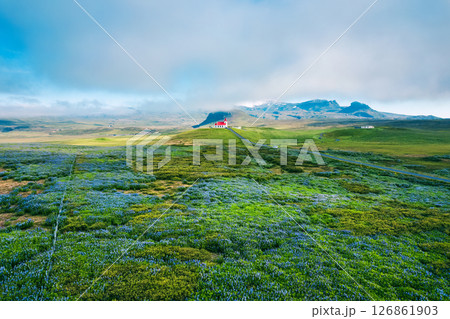 Holy Ingjaldsholskirkja or Ingjaldsholl Church against lupine wildflower at Snaefellsnes, Iceland Holy Ingjaldsholskirkja or Ingjaldsholl Church against lupine wildflower at Snaefellsnes, Iceland 126861903