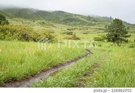 muddy train on a rainy spring day in Lory State Park at foothills of Rocky Mountains in Colorado 126862055