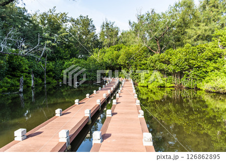 View of the mangrove ecological boardwalks at Shuangchun Seaside Recreational Area in Beimen, Tainan, Taiwan. View of the mangrove ecological boardwalks at Shuangchun Seaside Recreational Area in Beimen, Tainan, Taiwan. 126862895