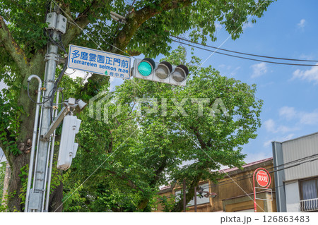 多磨霊園正門前の交通信号機 多磨霊園正門前の交通信号機 126863483