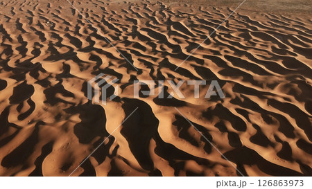 Aerial top view on sand dunes in desert 126863973