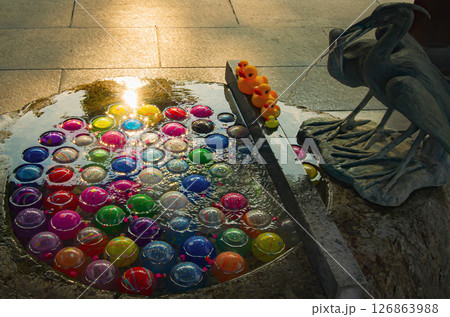 手水舎の水風船 126863988