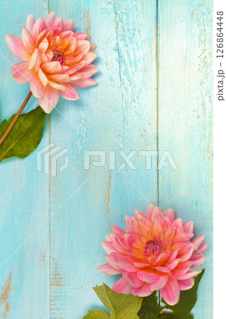 summer background. dahlias and a canvas on a blue wooden background. art. space for a text 126864448