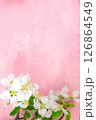 a branch of spring blossoming apple tree on a pink background. 126864549