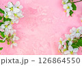 a branch of spring blossoming apple tree on a pink background. 126864550