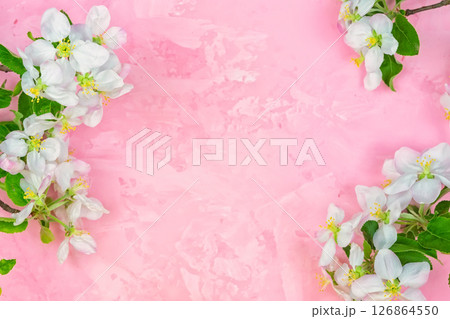 a branch of spring blossoming apple tree on a pink background. 126864550