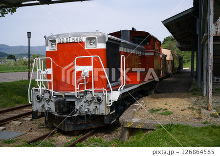 DD51　三笠鉄道村 三笠鉄道記念館のクロフォード公園 126864585