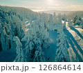 Winter wonderland in a snow-covered forest under a clear sky during late afternoon 126864614