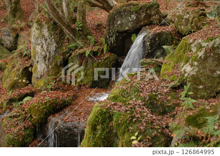 秋の渓流と苔むす岩場に流れる小さな滝 秋の渓流と苔むす岩場に流れる小さな滝 126864995