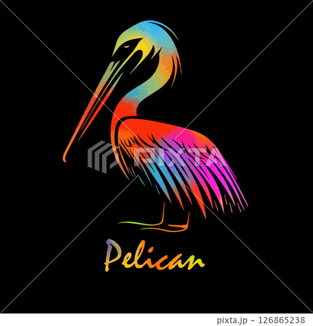 Pelican colored object on black background. hand drawing. Not AI, Vector illustration 126865238