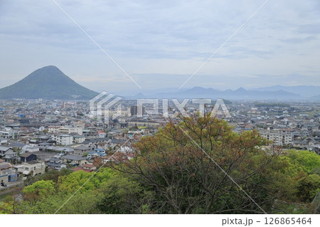 高台から望む讃岐富士 高台から望む讃岐富士 126865464