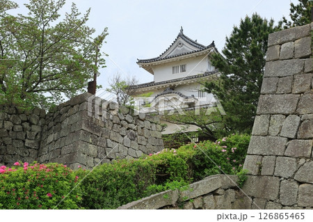 春の丸亀城と石垣 春の丸亀城と石垣 126865465