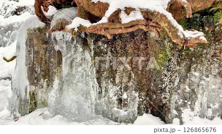 Frozen forest waterfall, winter fairy tale Frozen forest waterfall, winter fairy tale 126865676