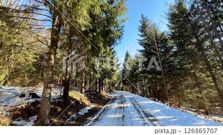 A Serene SnowCovered Road in a Beautiful Forest on a Bright Winter Day with Stunning Views A Serene SnowCovered Road in a Beautiful Forest on a Bright Winter Day with Stunning Views 126865707