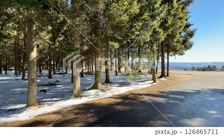 A beautiful Winter Forest Scene featuring a snowcovered ground thats picturesque and serene A beautiful Winter Forest Scene featuring a snowcovered ground thats picturesque and serene 126865711