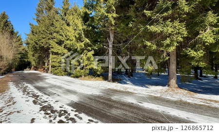 A Serene and Beautiful Winter Landscape Featuring a SnowCovered Road Surrounded by Tall Pines A Serene and Beautiful Winter Landscape Featuring a SnowCovered Road Surrounded by Tall Pines 126865712