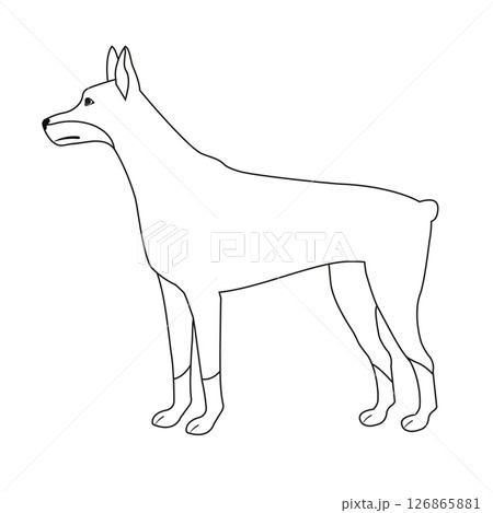 Vector flat hand drawn outline doberman dog 126865881